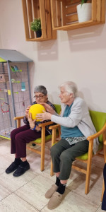 WhatsApp Image 2024-01-17 at 10.57.18 (4)