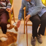 WhatsApp Image 2024-01-17 at 10.57.19 (1)