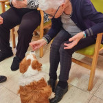 WhatsApp Image 2024-01-17 at 10.57.19