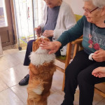 WhatsApp Image 2024-01-17 at 10.57.19 (2)